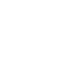 bullet-camera bullet-camera