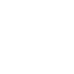 cyber-security cyber-security