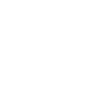 fingerprint fingerprint