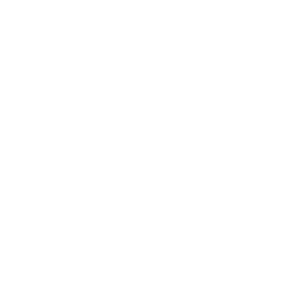 security-shield security-shield