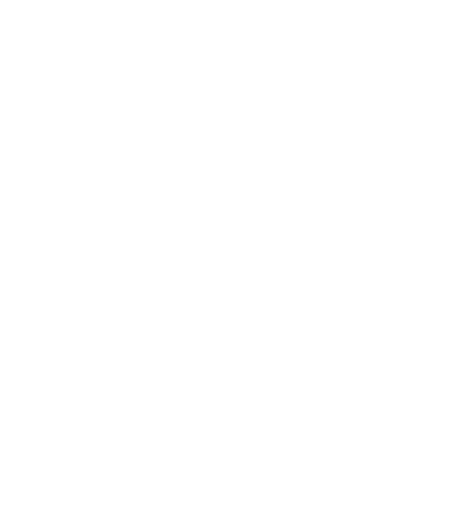JANUS-LOGO-op.blanc